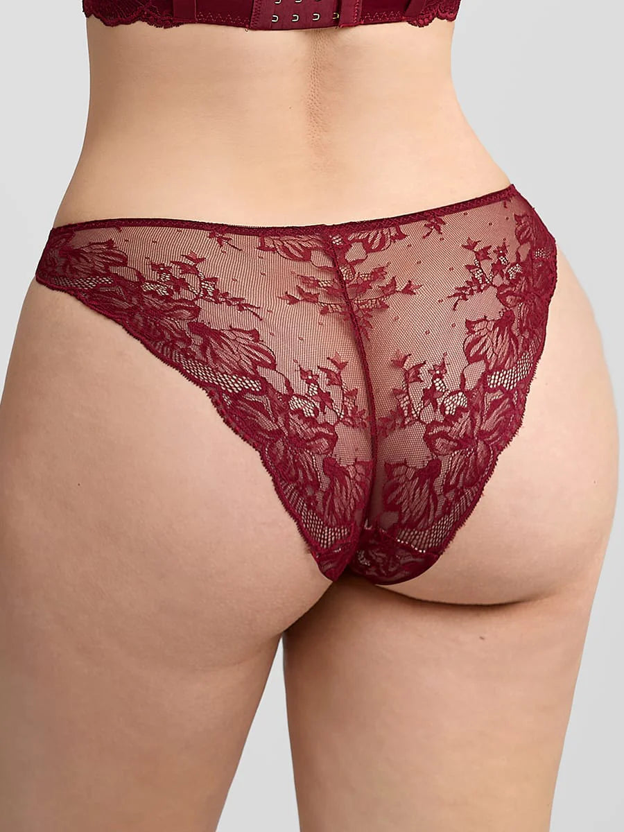 Muse Lace Panty